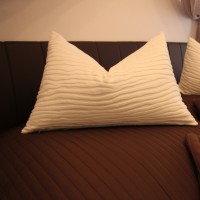 Ferienwohnung Pirna Ferienwohnung Pirna