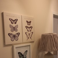 Ferienwohnung Pirna Ferienwohnung Pirna